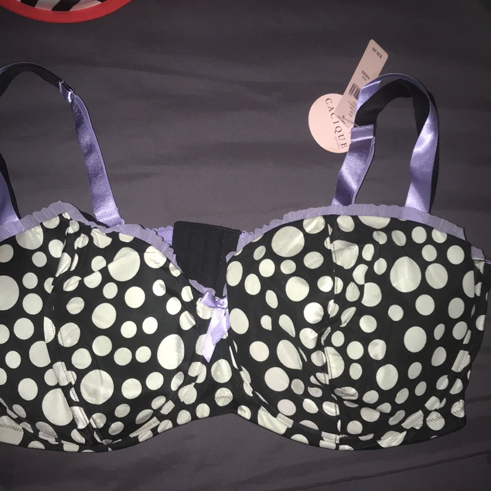 NWT**Polka Dot Push up** 44DDD